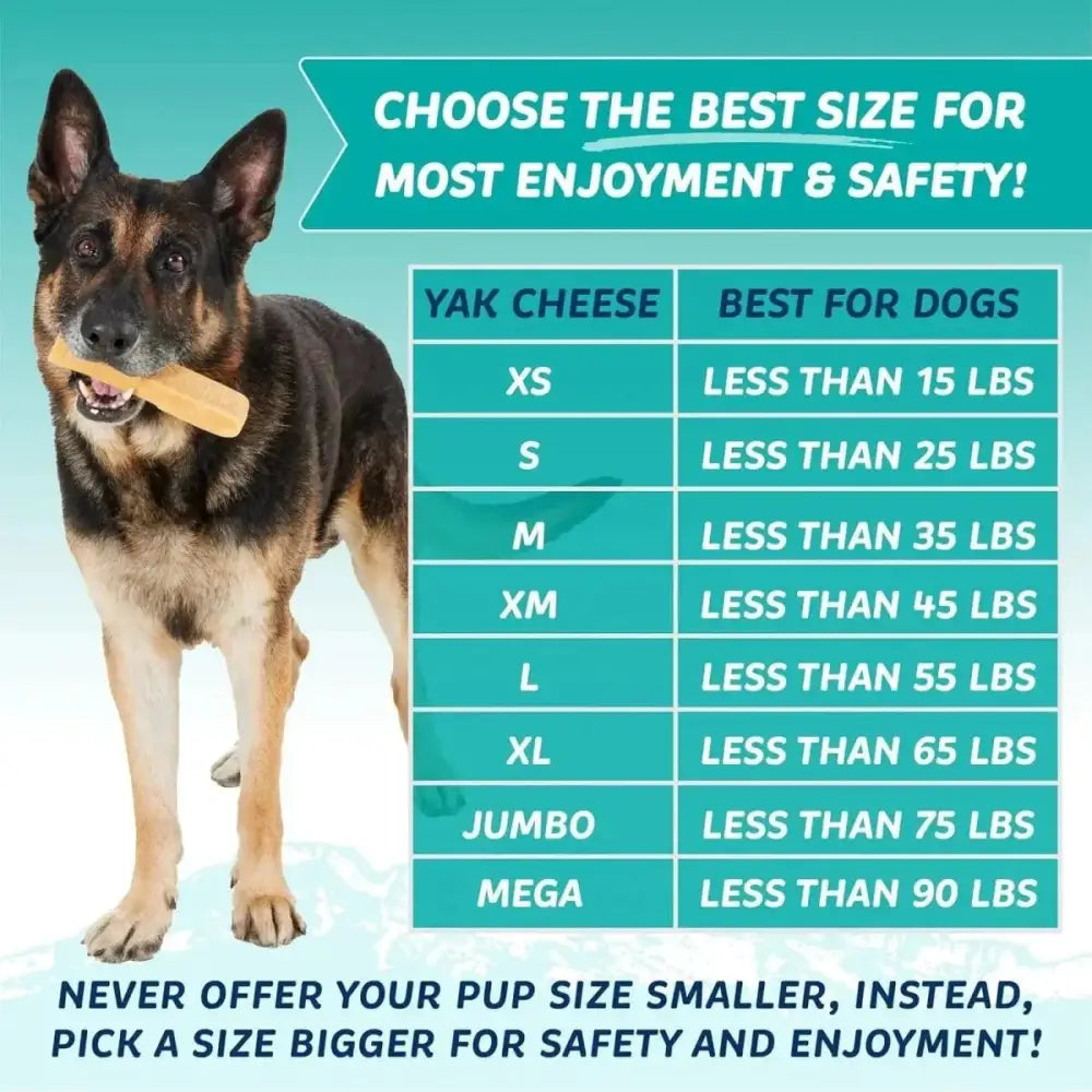 Durkha Himalayan Yak Cheese Chew Dog Treat - Talis Us