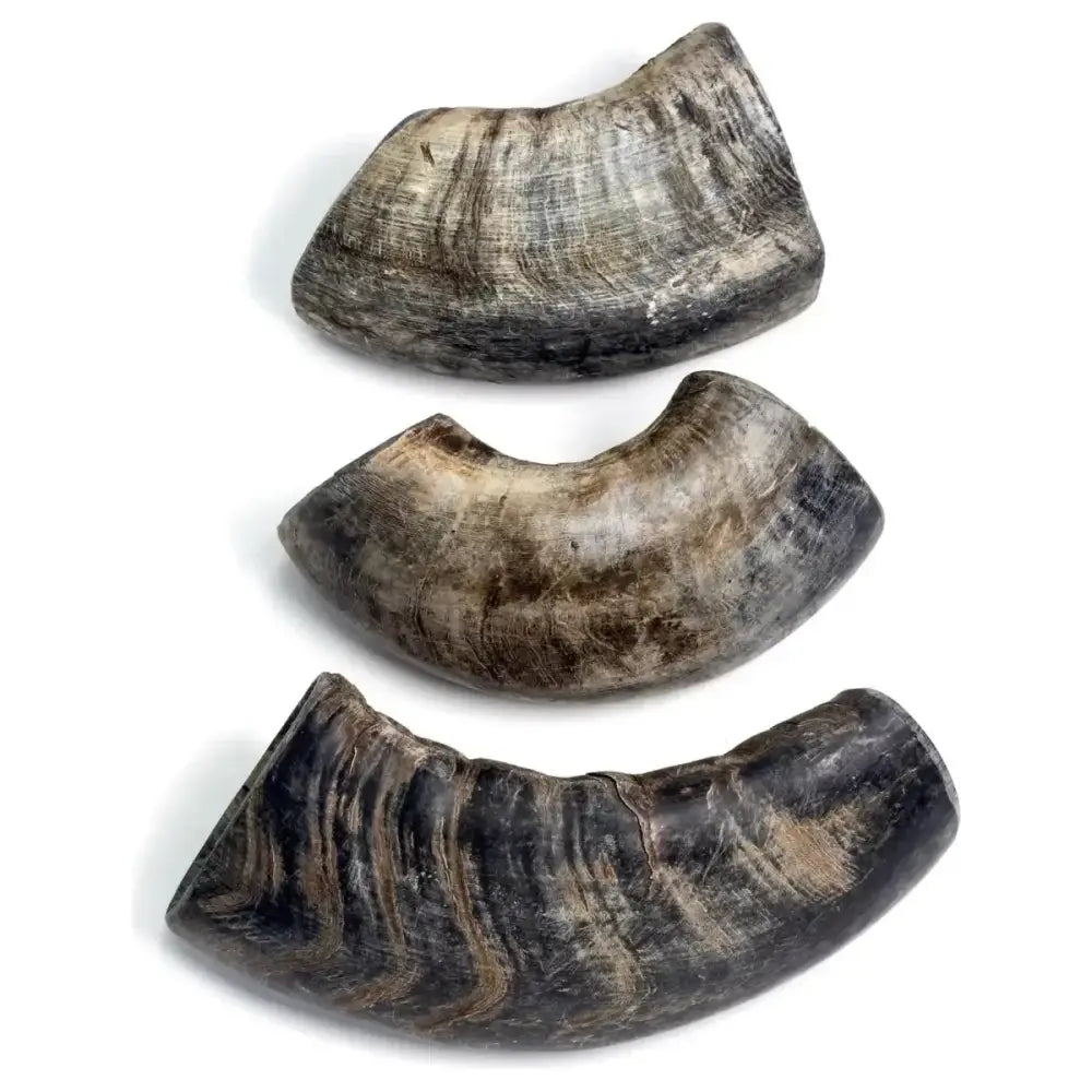 Durkha Natural Water Buffalo Horns for Dogs – Long - Lasting, Natural Dog Treats - Talis Us