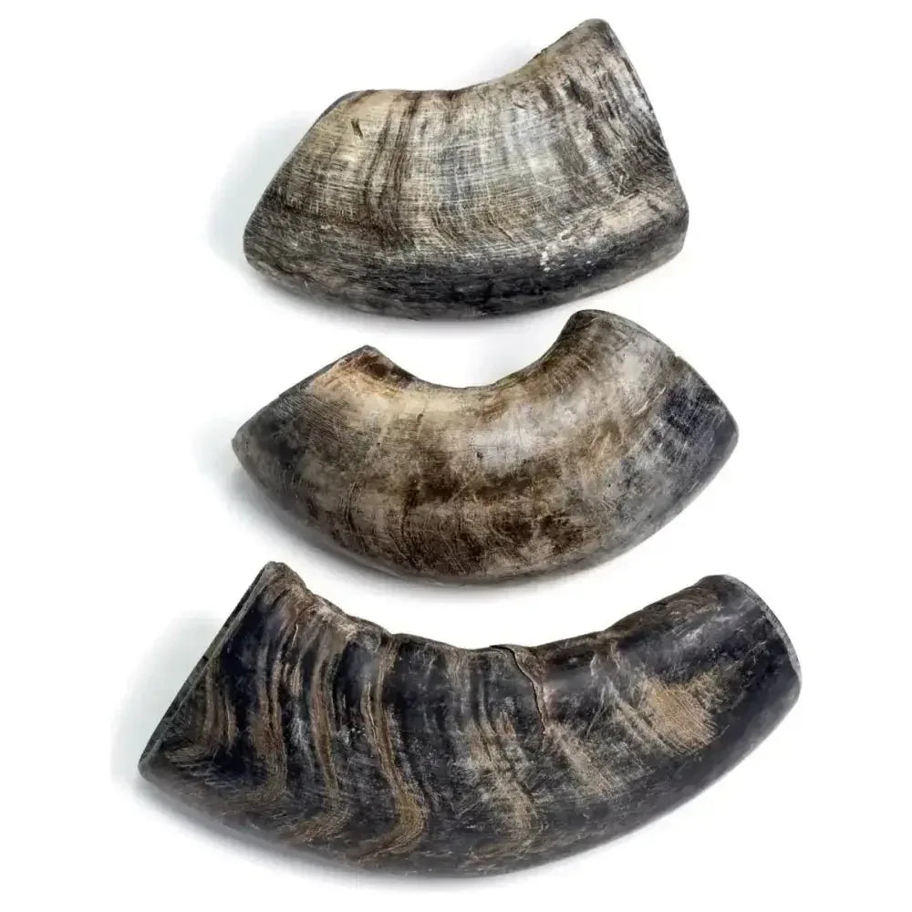 Durkha Natural Water Buffalo Horns for Dogs – Long - Lasting, Natural Dog Treats - Talis Us
