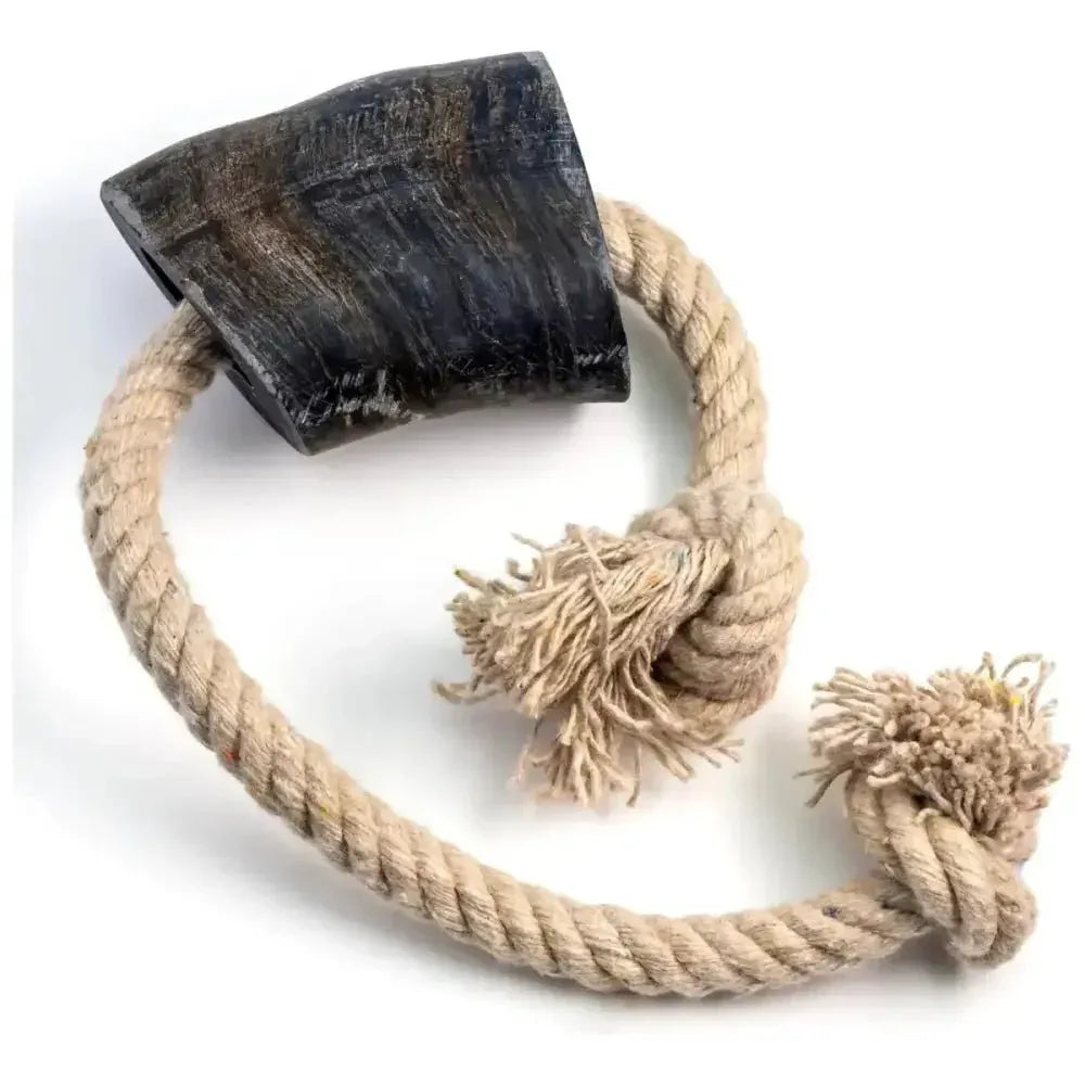 Durkha Odorless Buffalo Horn Tug Toy for Active Pups - Talis Us