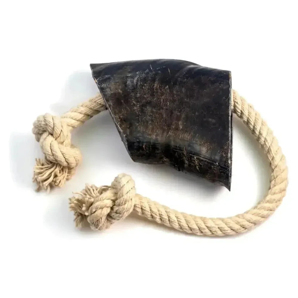 Durkha Odorless Buffalo Horn Tug Toy for Active Pups - Talis Us