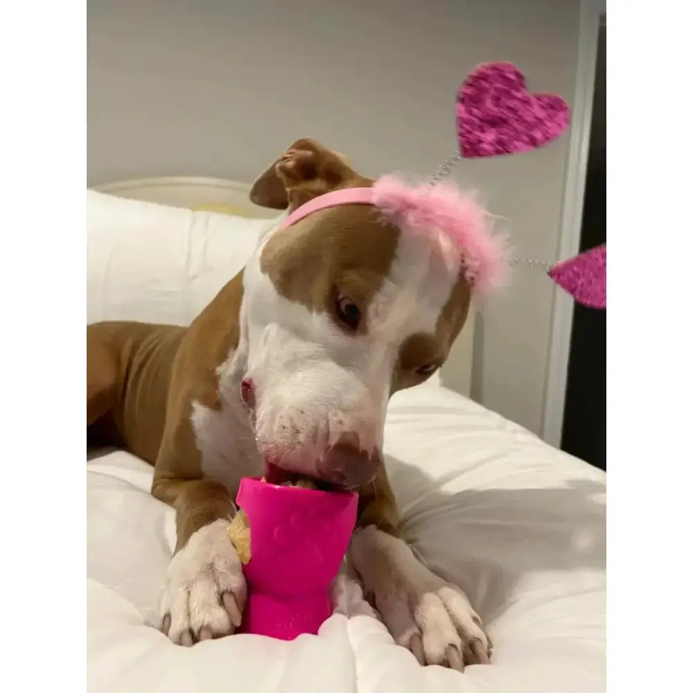 Durkha Puff & Fetch Toy - Yak Cheese Playtime Delight - Talis Us