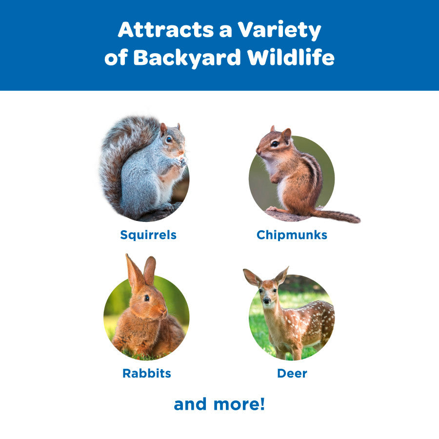 Graphic showing a squirrel, chipmunk, rabbit, and deer that are attracted to the wildlife food.