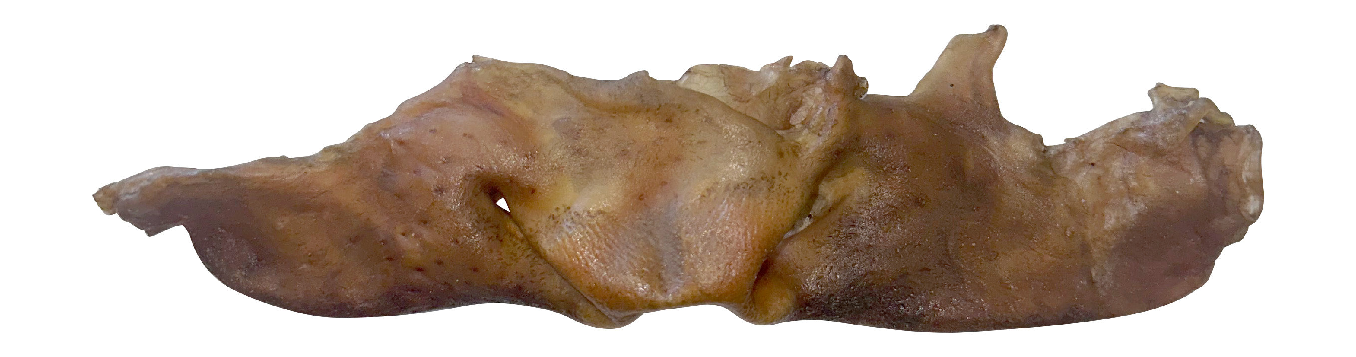 A single, natural-colored, dried water buffalo snout dog chew treat on a white background.