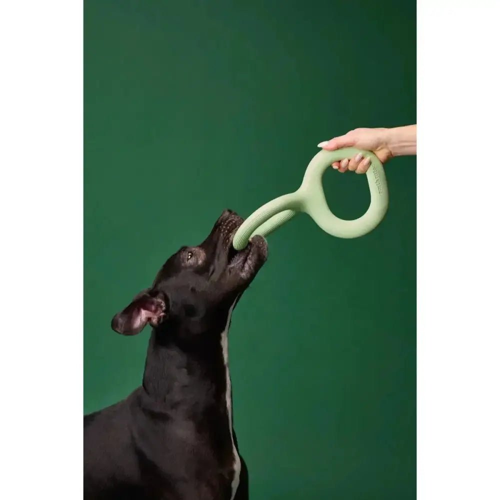 Earth Rated Dog Tug Toy Green Rubber - Talis Us