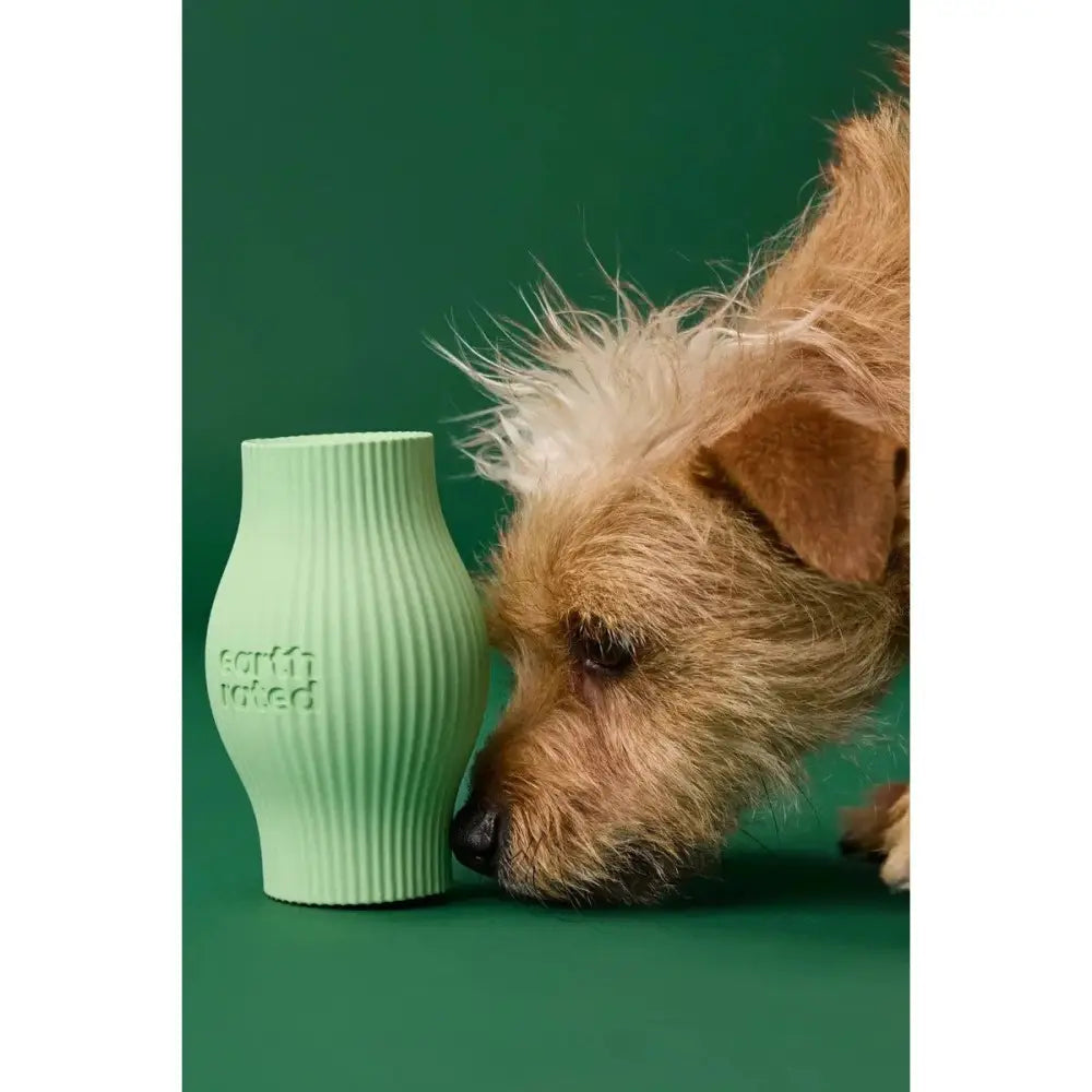 Earth Rated Treat Toy for Dogs Green Rubber - Talis Us