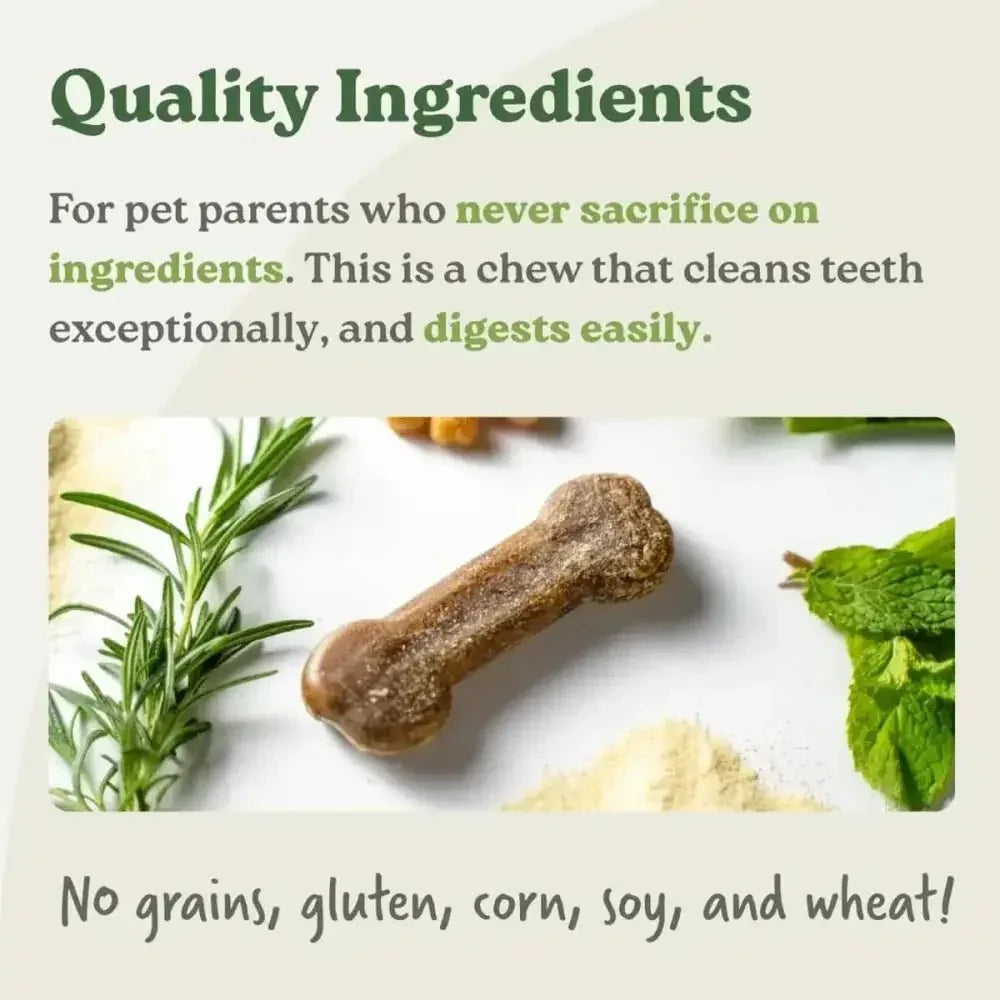 Earthbones Dental Chews For Dogs - Talis Us