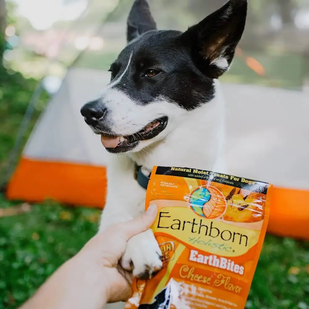 Earthborn Holistic EarthBites Grain - Free Soft Dog Treats - Talis Us