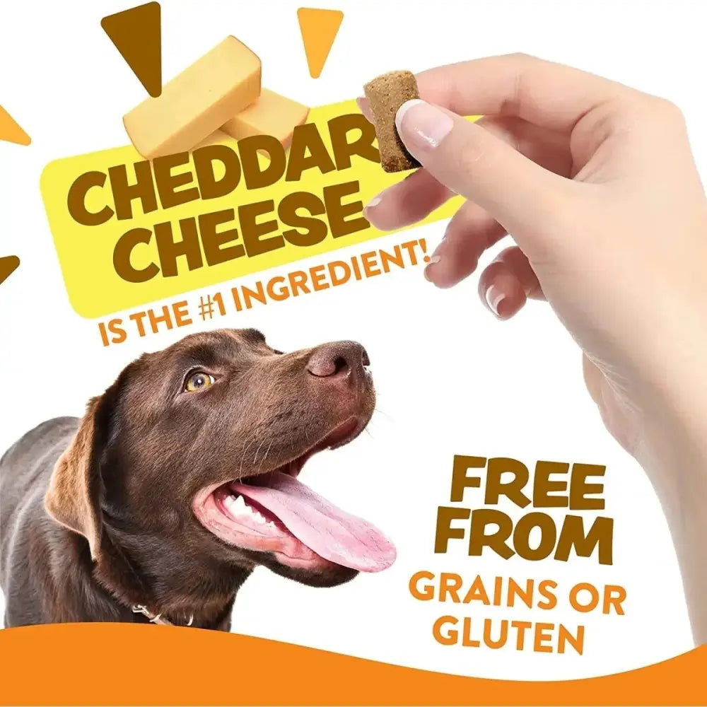 Earthborn Holistic EarthBites Grain - Free Soft Dog Treats - Talis Us