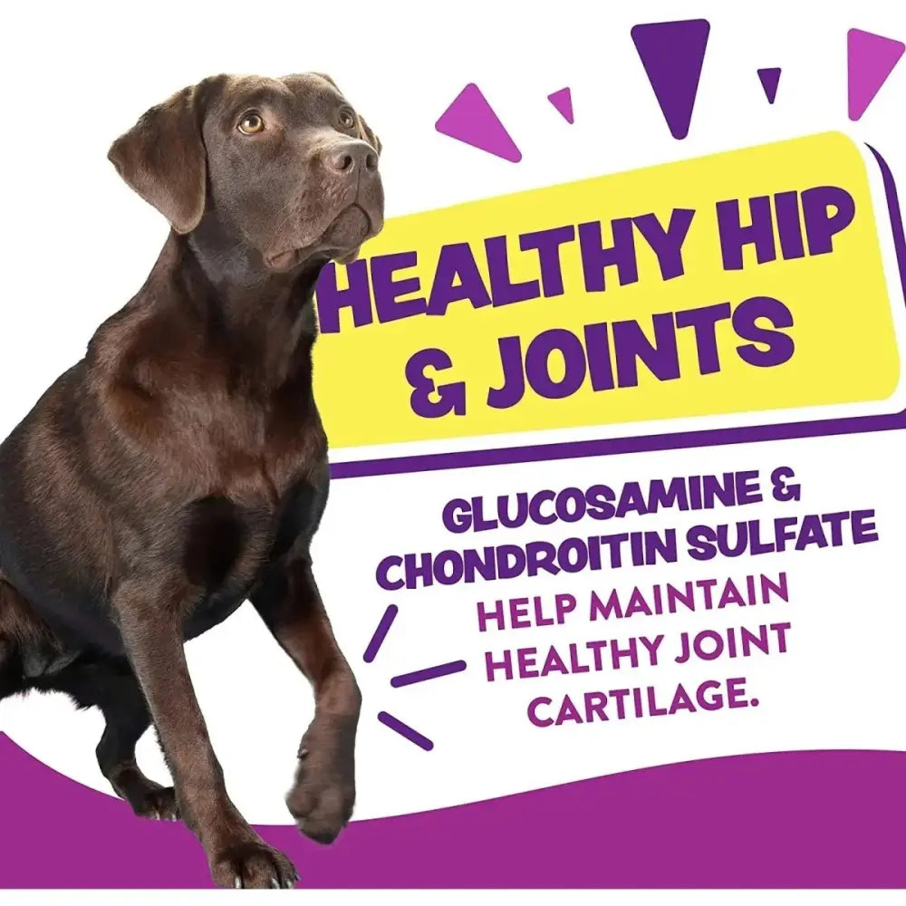 Earthborn Holistic EarthBites Hip & Joint Grain - Free Turkey Soft Dog Treats 7.5 oz - Talis Us