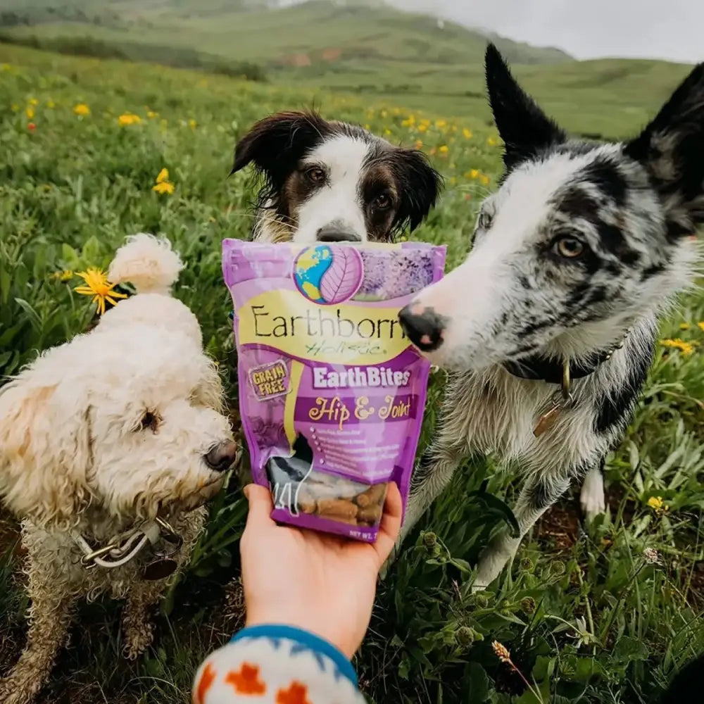 Earthborn Holistic EarthBites Hip & Joint Grain - Free Turkey Soft Dog Treats 7.5 oz - Talis Us