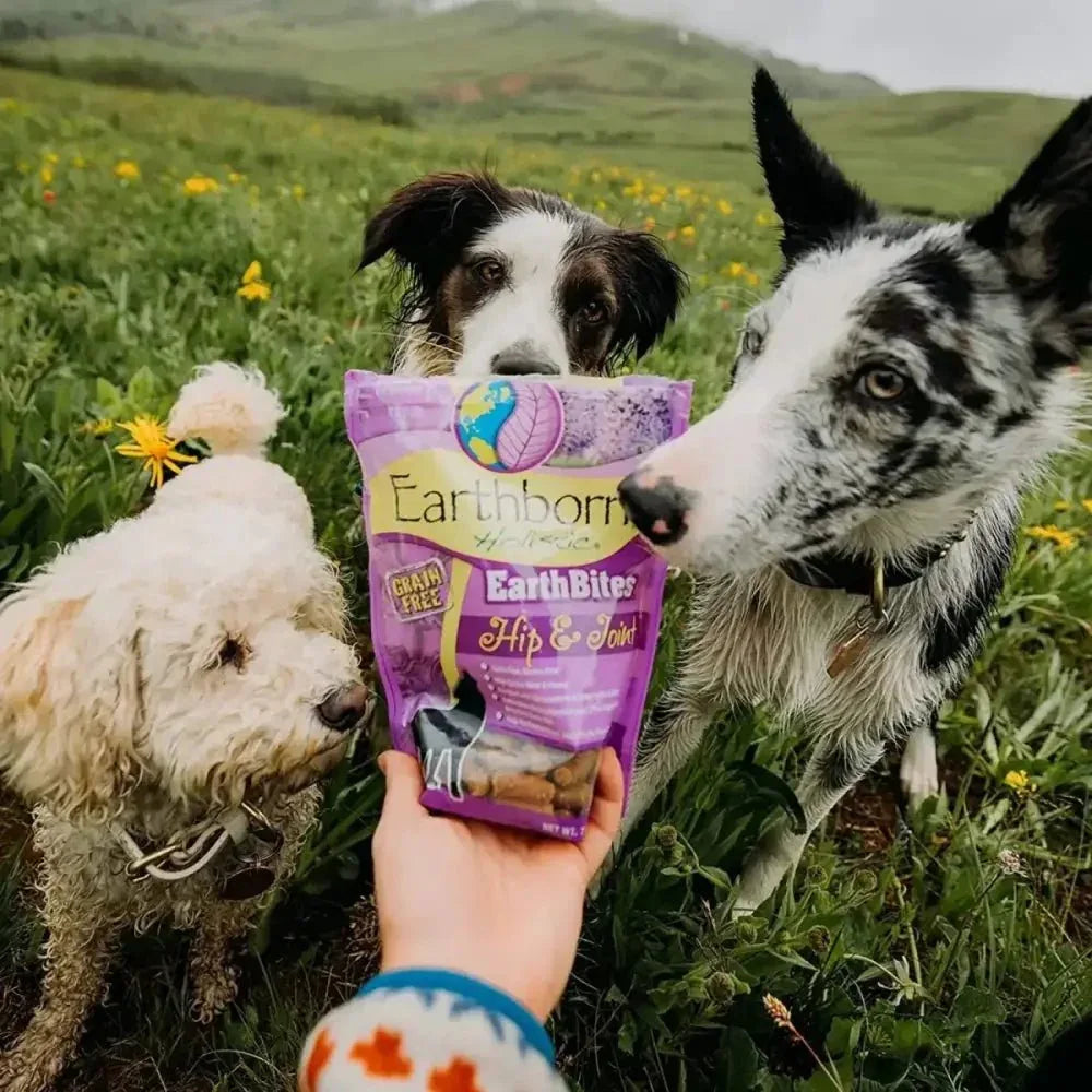 Earthborn Holistic EarthBites Hip & Joint Grain - Free Turkey Soft Dog Treats 7.5 oz - Talis Us