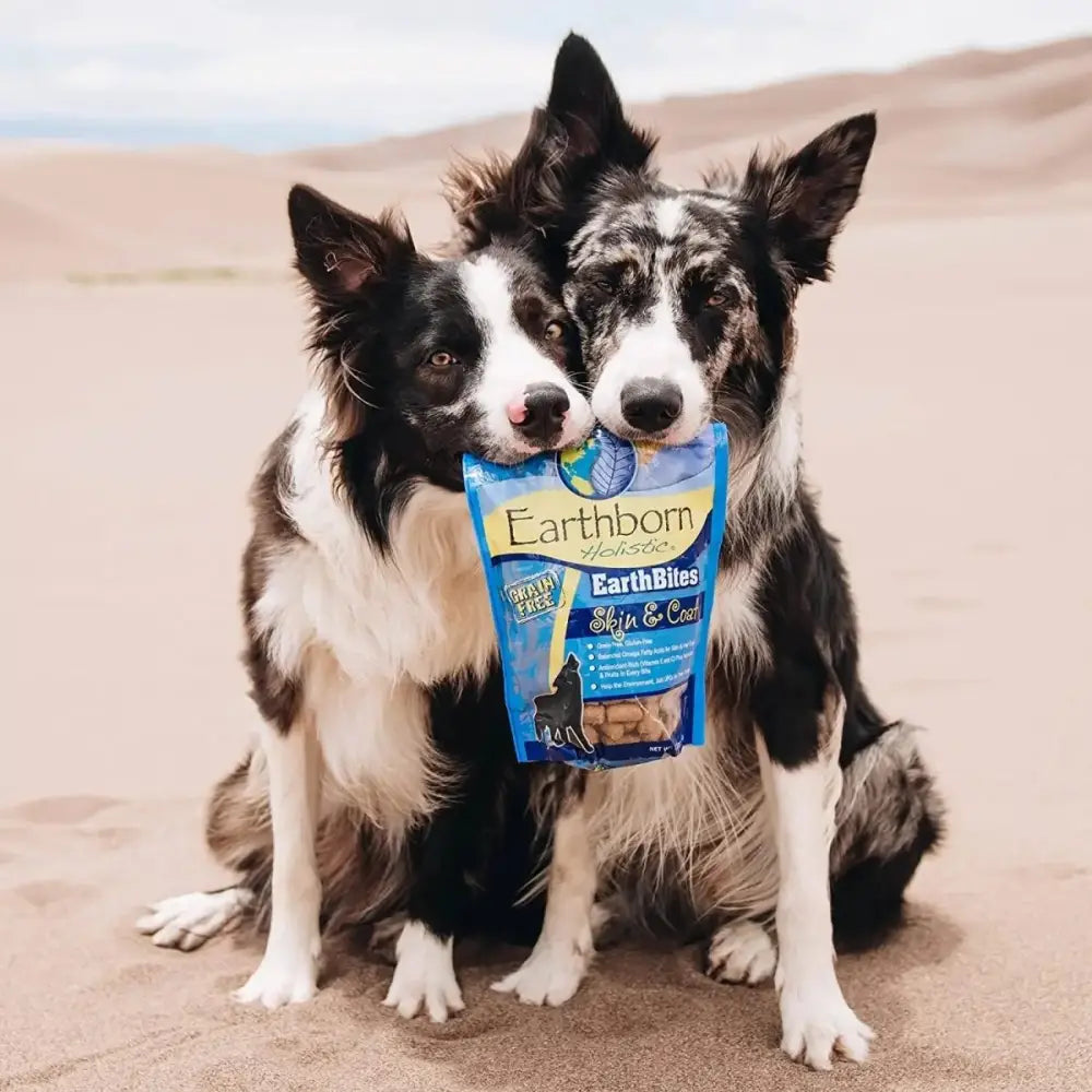 Earthborn Holistic EarthBites Skin & Coat Grain - Free Soft Dog Treats 7.5 oz - Talis Us