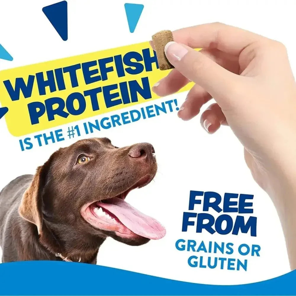 Earthborn Holistic EarthBites Skin & Coat Grain - Free Soft Dog Treats 7.5 oz - Talis Us