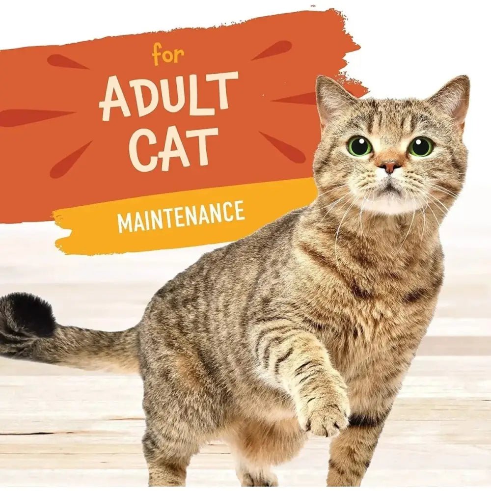 Earthborn Holistic Grain Free Autumn Tide Wet Cat Food 24ea/3 oz - Talis Us