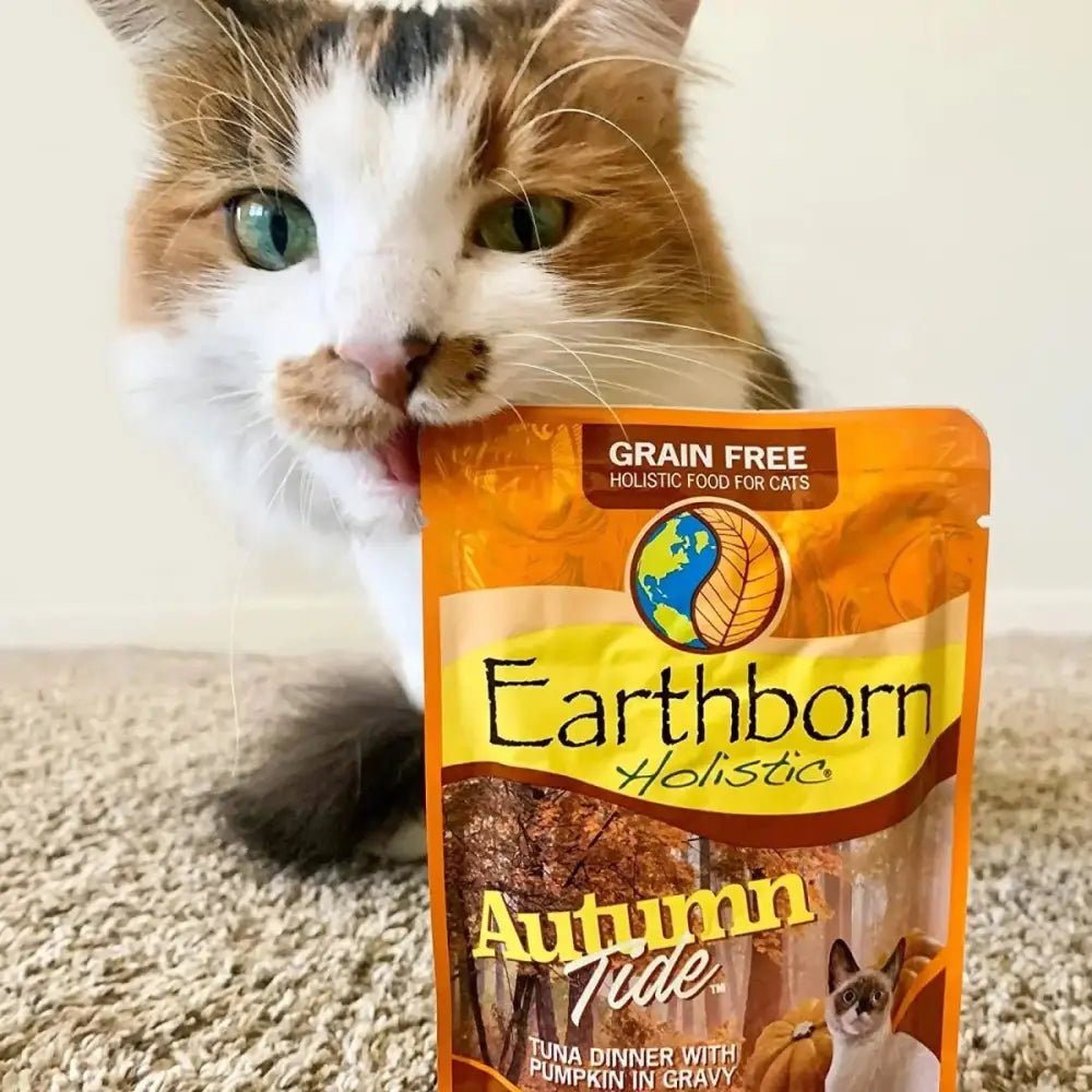 Earthborn Holistic Grain Free Autumn Tide Wet Cat Food 24ea/3 oz - Talis Us