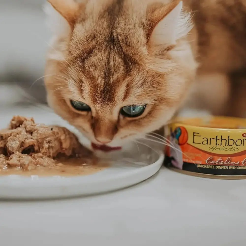 Earthborn Holistic Grain Free Catalina Catch Wet Cat Food - Talis Us
