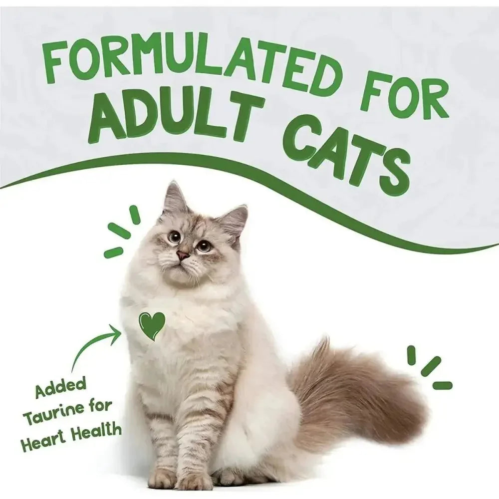 Earthborn Holistic Grain Free Chicken Catcciatori Wet Cat Food - Talis Us