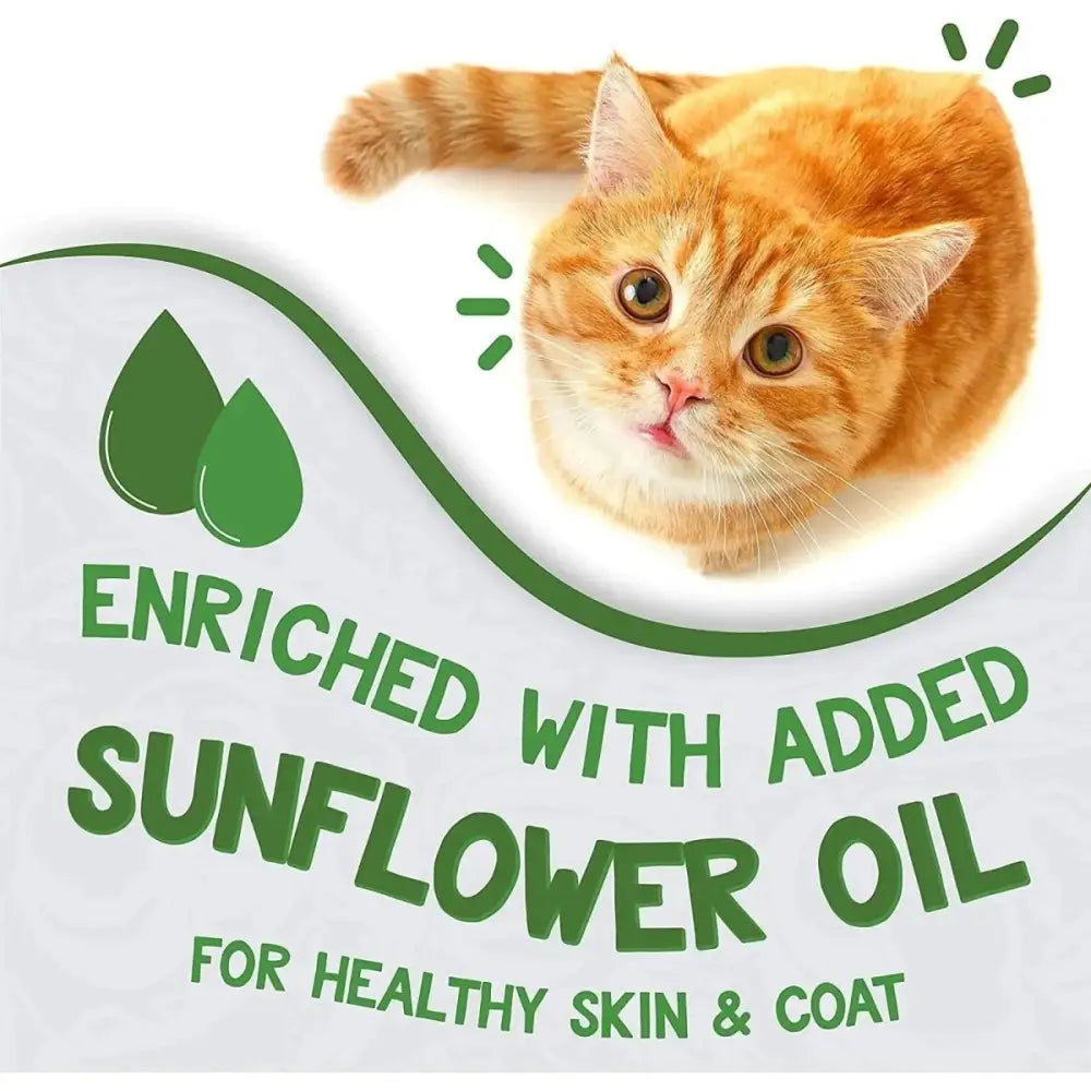 Earthborn Holistic Grain Free Chicken Catcciatori Wet Cat Food - Talis Us