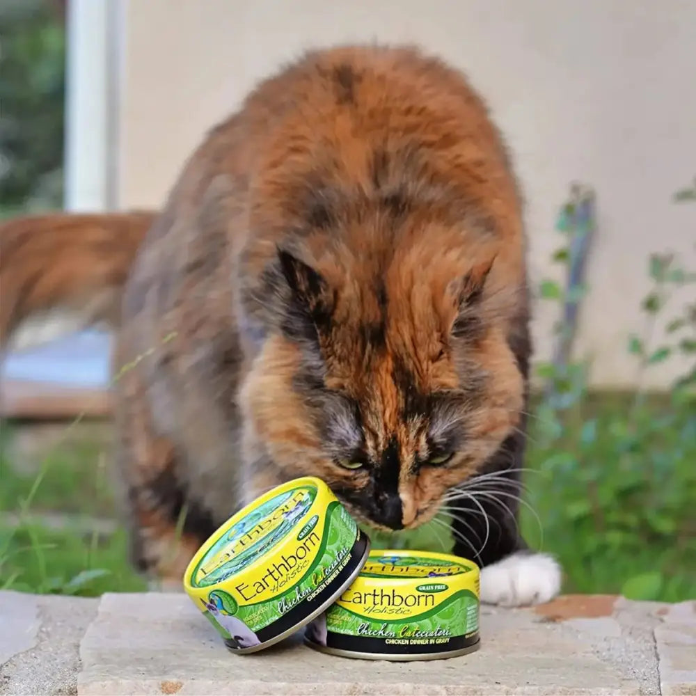 Earthborn Holistic Grain Free Chicken Catcciatori Wet Cat Food - Talis Us