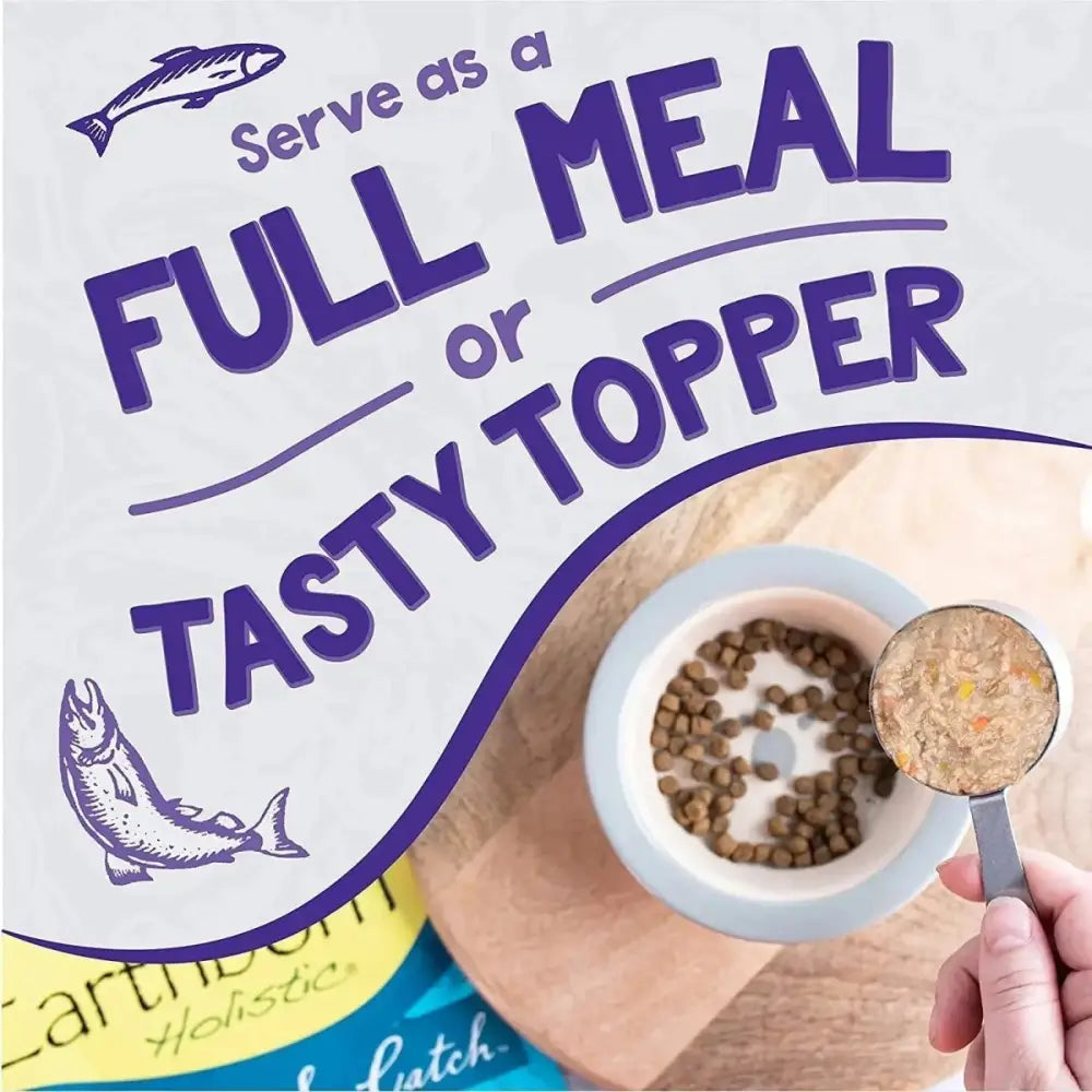 Earthborn Holistic Grain Free Chicken Fricatssee Wet Cat Food 24ea/5.5 oz - Talis Us