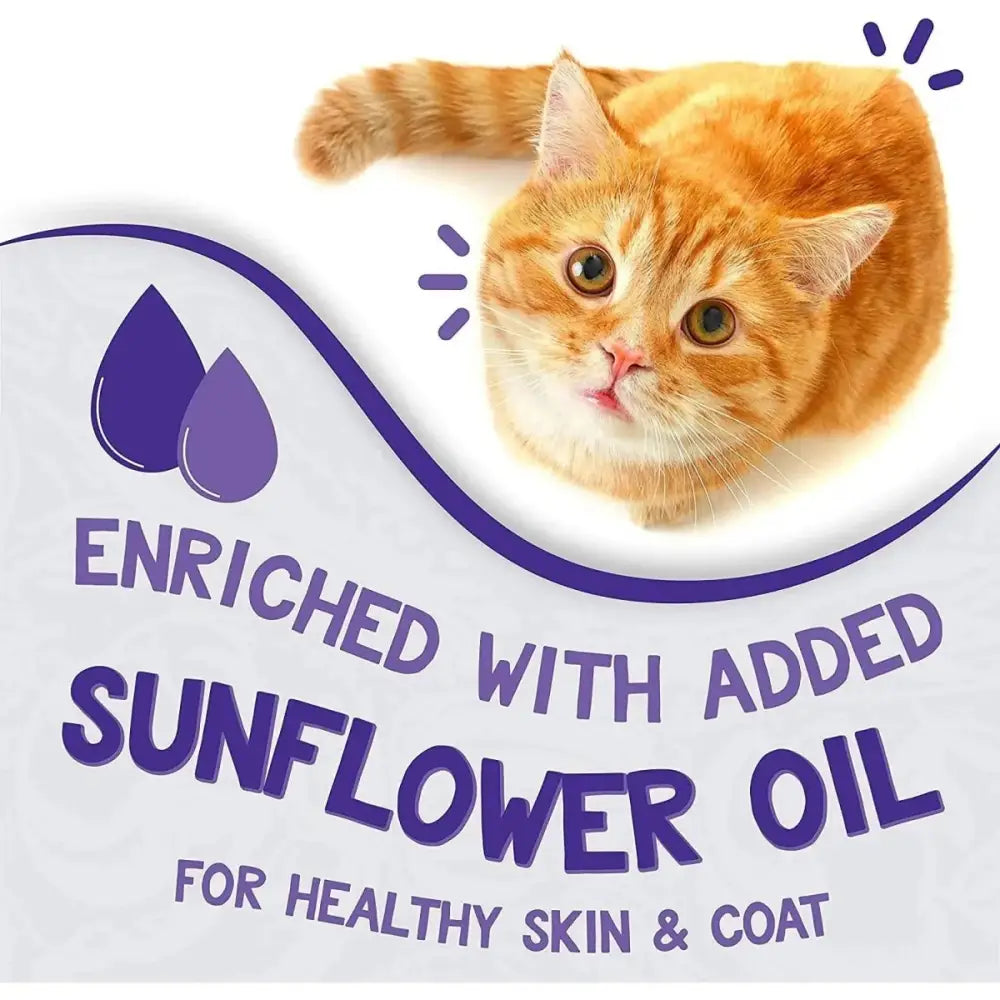 Earthborn Holistic Grain Free Chicken Fricatssee Wet Cat Food 24ea/5.5 oz - Talis Us