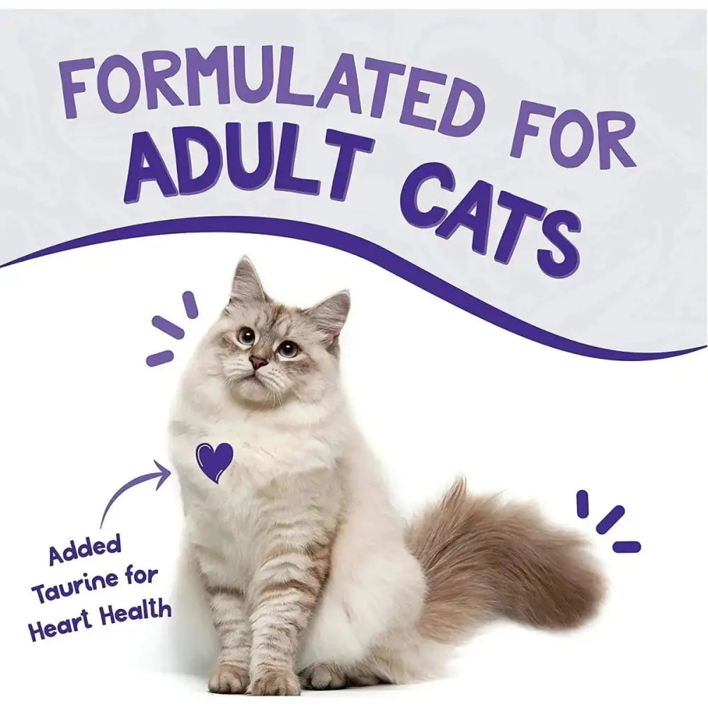 Earthborn Holistic Grain Free Chicken Fricatssee Wet Cat Food 24ea/5.5 oz - Talis Us