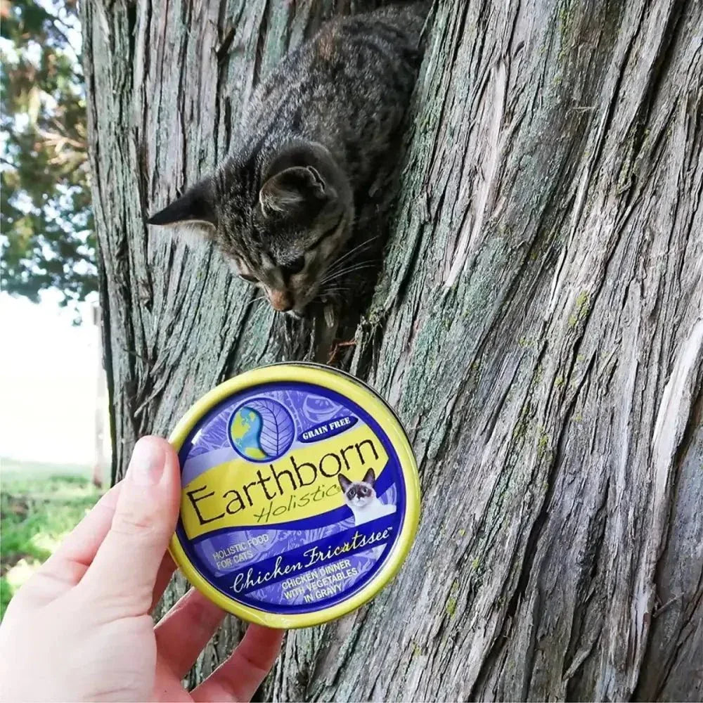 Earthborn Holistic Grain Free Chicken Fricatssee Wet Cat Food 24ea/5.5 oz - Talis Us