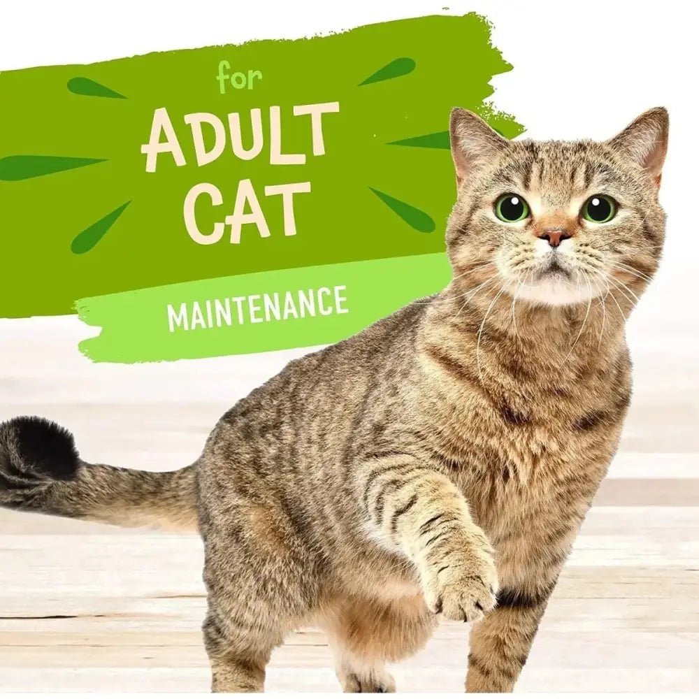 Earthborn Holistic Grain Free Fin and Fowl Wet Cat Food 24ea/3 oz - Talis Us