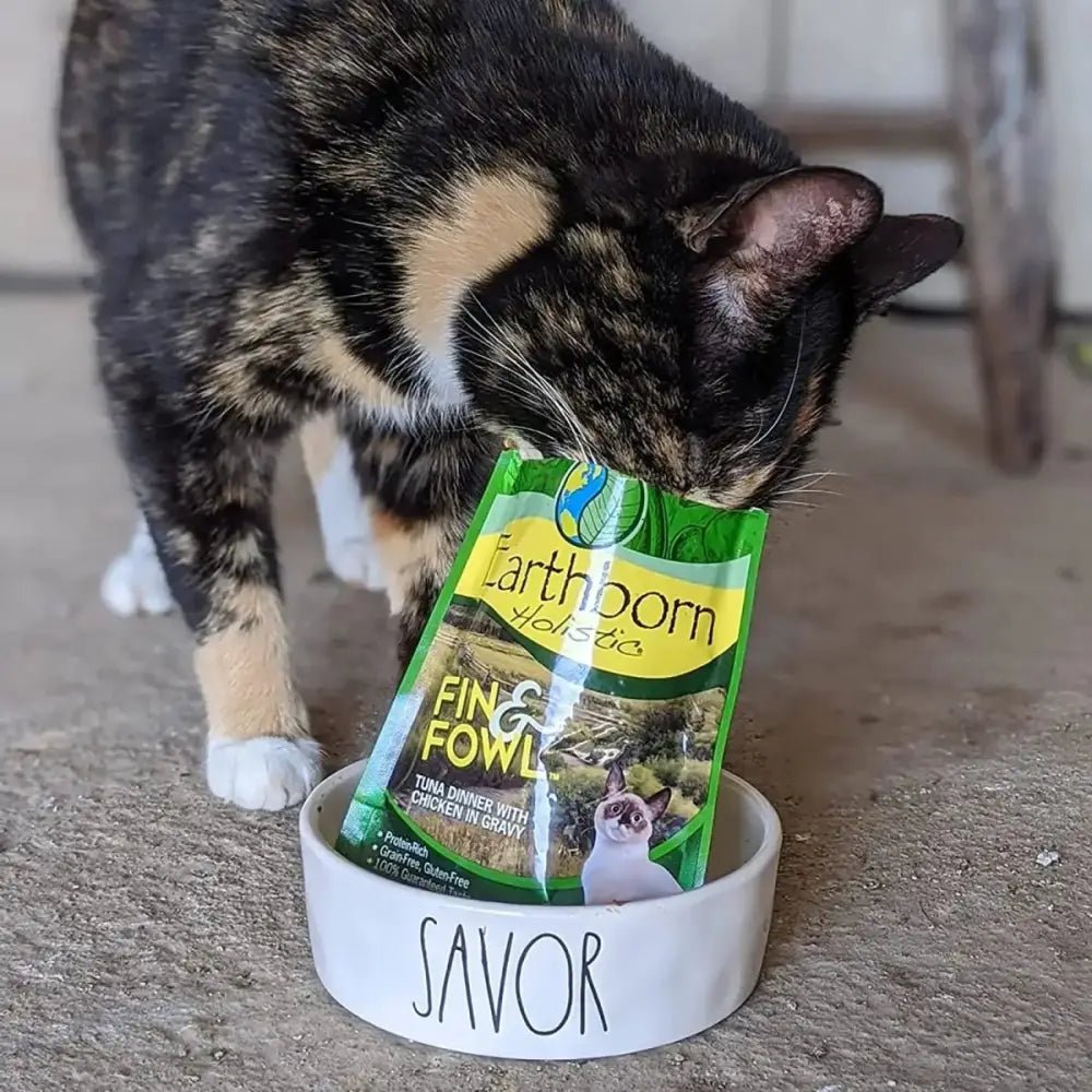 Earthborn Holistic Grain Free Fin and Fowl Wet Cat Food 24ea/3 oz - Talis Us
