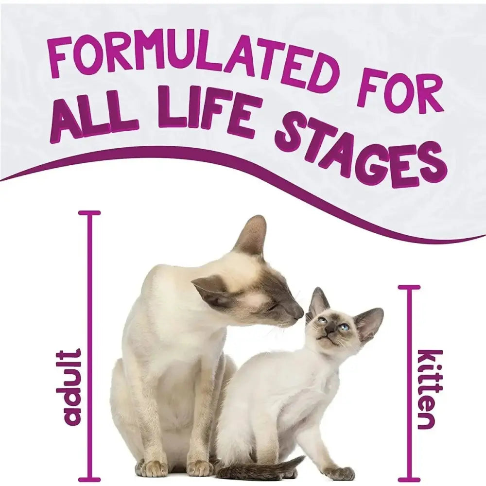 Earthborn Holistic Grain Free Harbor Harvest Wet Cat Food - Talis Us