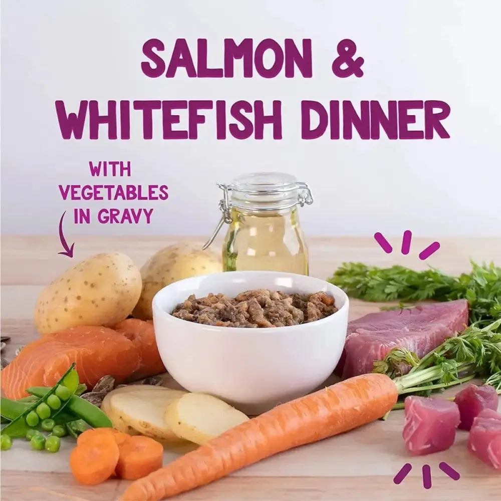 Earthborn Holistic Grain Free Harbor Harvest Wet Cat Food - Talis Us