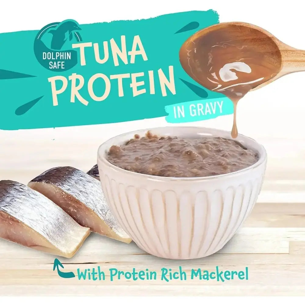 Earthborn Holistic Grain Free Key West Zest Wet Cat Food 24ea/3 oz - Talis Us