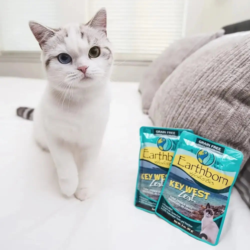 Earthborn Holistic Grain Free Key West Zest Wet Cat Food 24ea/3 oz - Talis Us