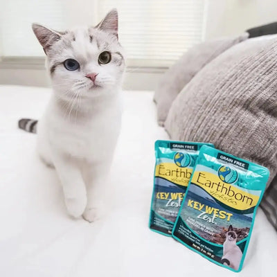 Earthborn Holistic Grain Free Key West Zest Wet Cat Food 24ea/3 oz - Talis Us