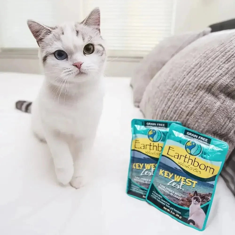 Earthborn Holistic Grain Free Key West Zest Wet Cat Food 24ea/3 oz - Talis Us