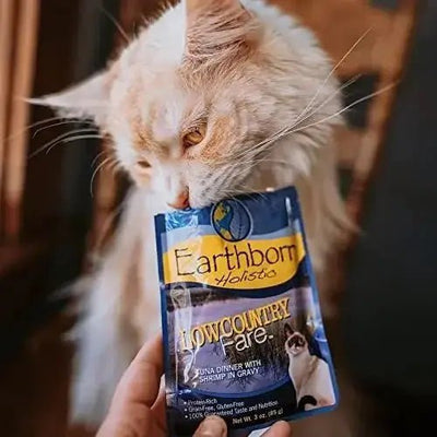 Earthborn Holistic Grain Free Lowcountry Fare Wet Cat Food 24ea/3 oz - Talis Us