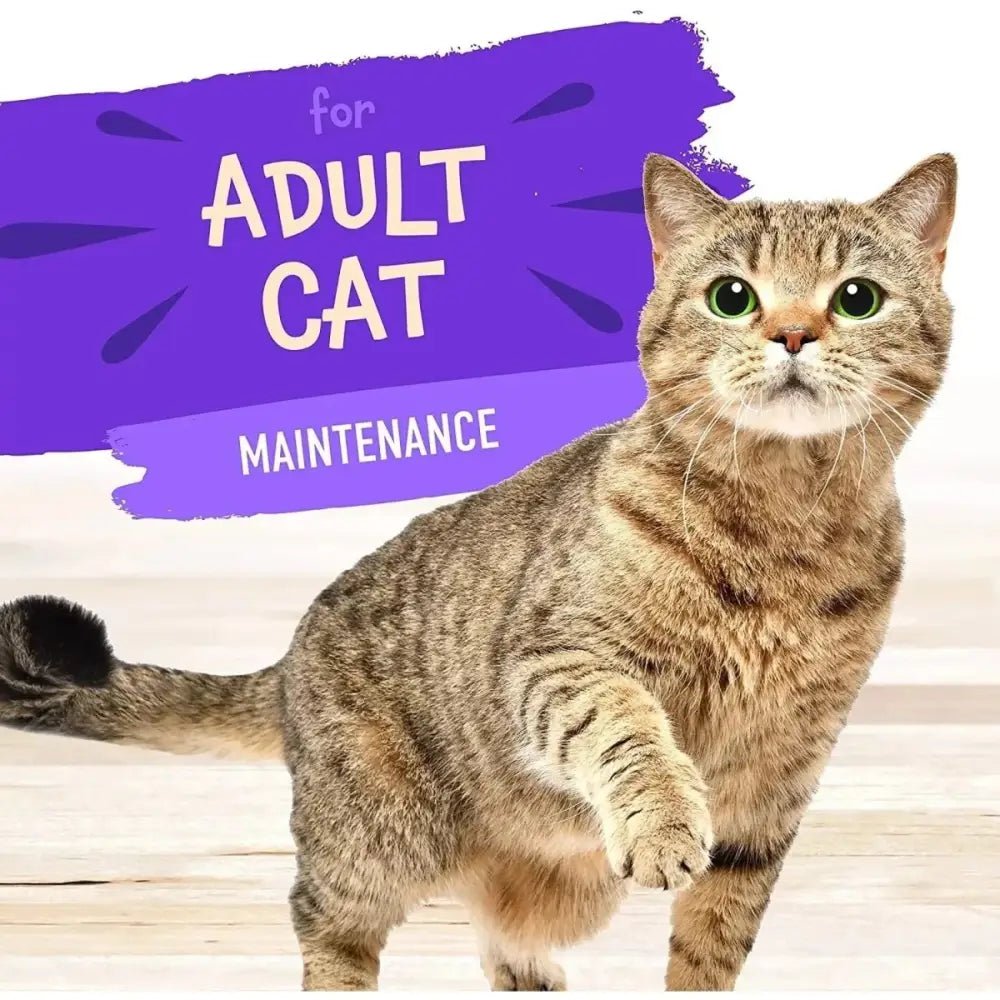 Earthborn Holistic Grain Free Lowcountry Fare Wet Cat Food 24ea/3 oz - Talis Us