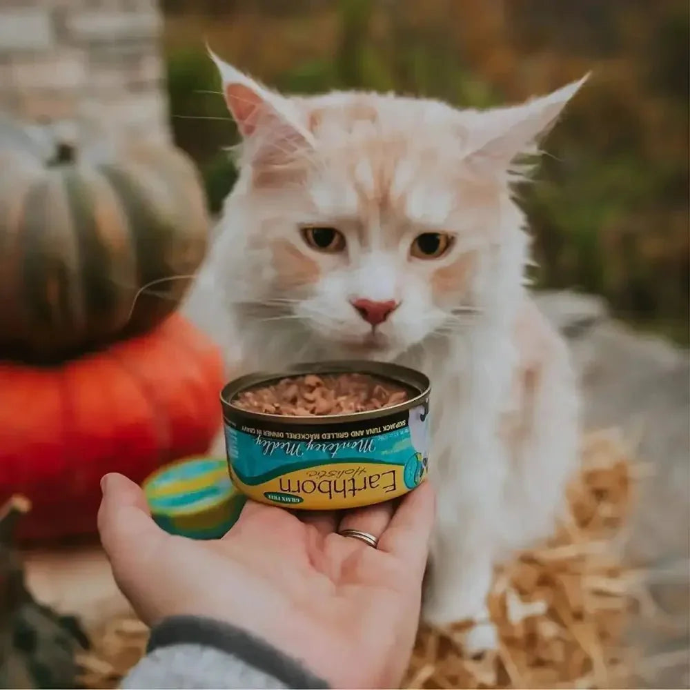 Earthborn Holistic Grain Free Monterey Medley Wet Cat Food - Talis Us