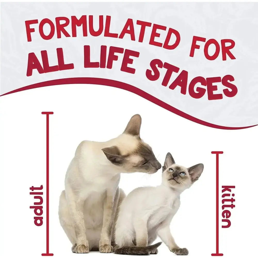 Earthborn Holistic Grain Free RanchHouse Stew Beef Wet Cat Food 24ea/5.5 oz - Talis Us