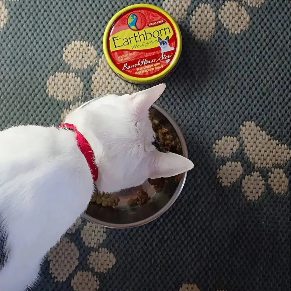 Earthborn Holistic Grain Free RanchHouse Stew Beef Wet Cat Food 24ea/5.5 oz - Talis Us