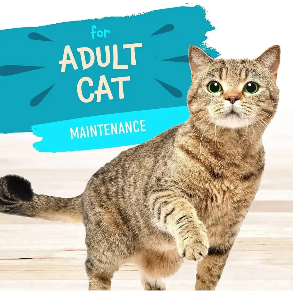 Earthborn Holistic Grain Free Riptide Zing Wet Cat Food 24ea/3 oz - Talis Us