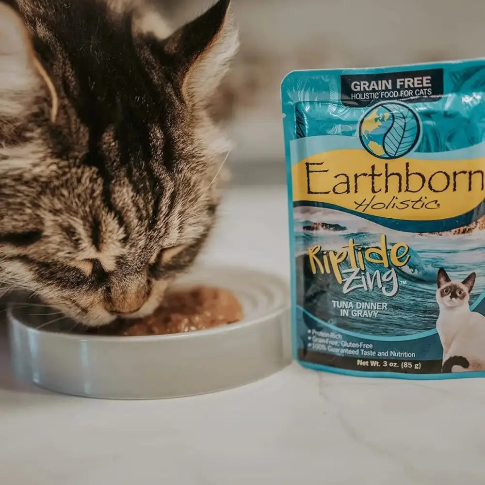 Earthborn Holistic Grain Free Riptide Zing Wet Cat Food 24ea/3 oz - Talis Us