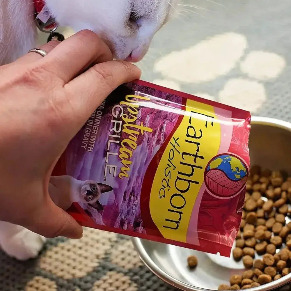 Earthborn Holistic Grain Free Upstream Grill Wet Cat Food 24ea/3 oz - Talis Us