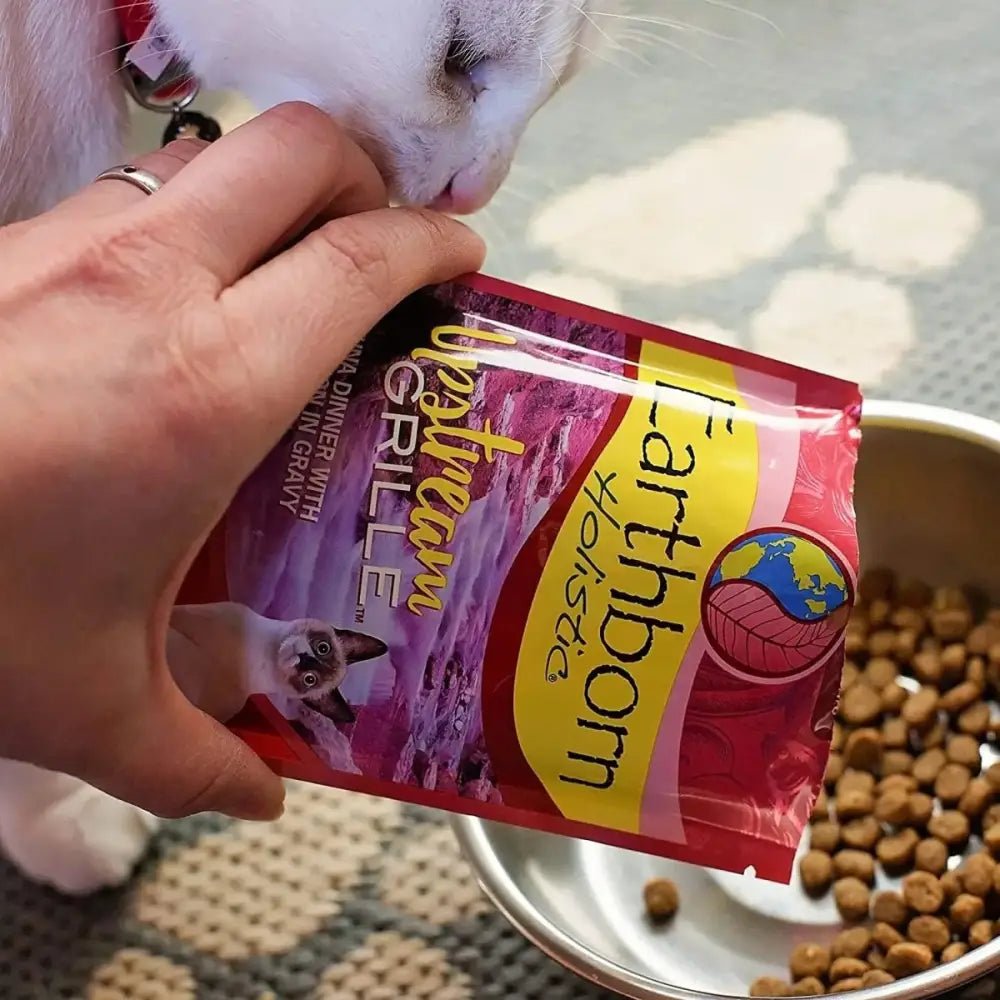 Earthborn Holistic Grain Free Upstream Grill Wet Cat Food 24ea/3 oz - Talis Us
