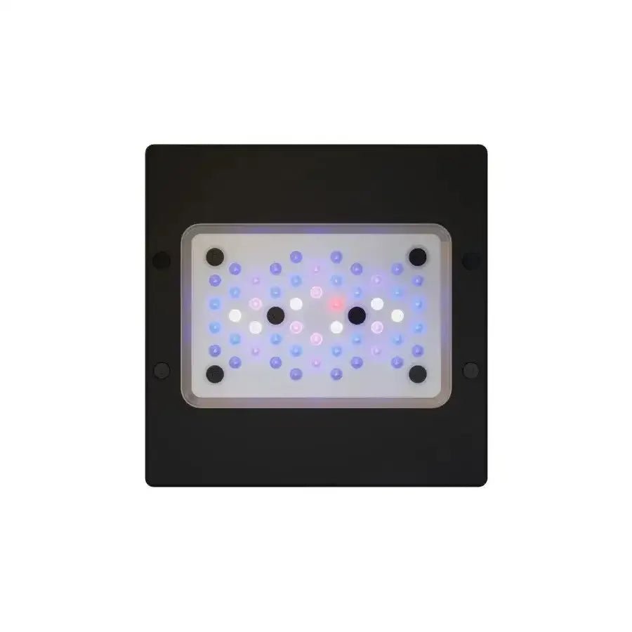 EcoTech Marine Radion XR15 G6 Blue LED Aquarium Light Fixture - Talis Us
