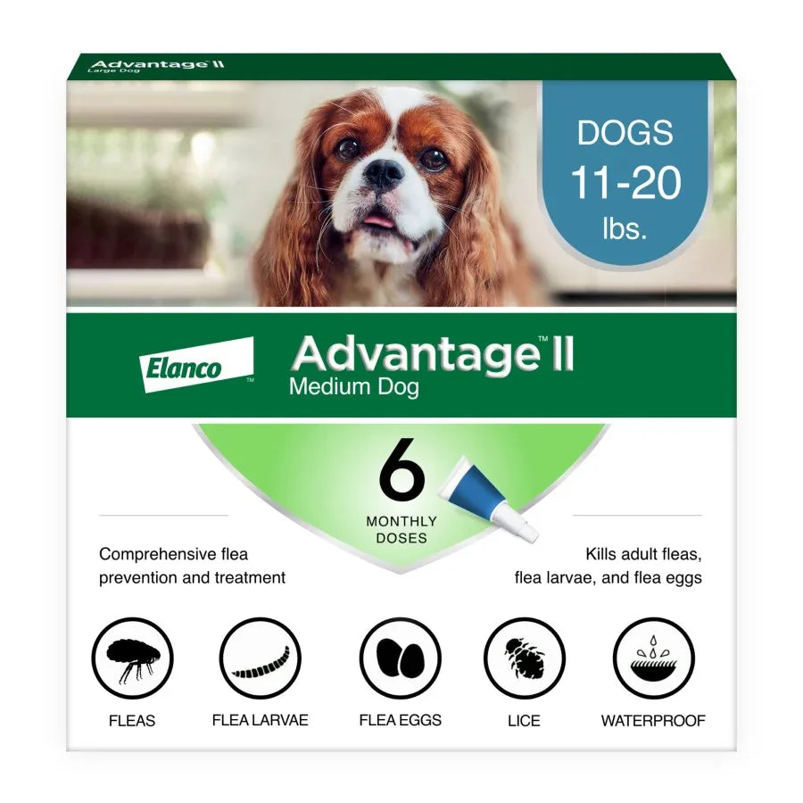Advantage II flea treatment for dogs, 6 doses for medium dogs 11-20 lbs, effective against fleas and larvae