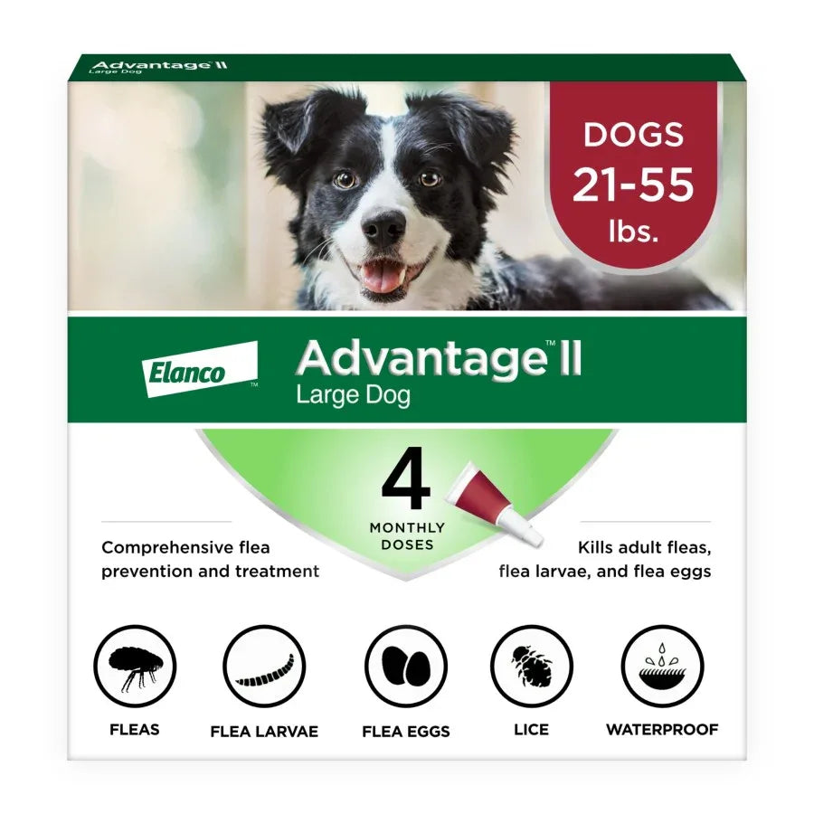 Advantage II flea treatment for dogs in a box, designed for large dogs weighing 21-55 lbs with four monthly doses