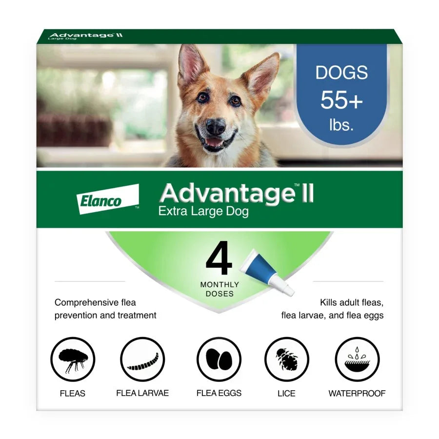 Advantage II flea treatment for dogs, extra large size, 4 monthly doses for dogs over 55 lbs