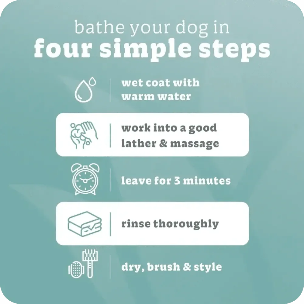 Espree 2in1 Bright White Dog Shampoo 20 oz - Talis Us